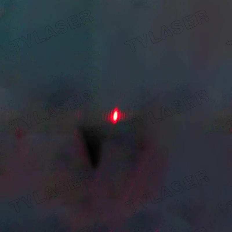 Module laser externe TTL 8mm 6 - Industrial Grade Laser Pointer avis et prix